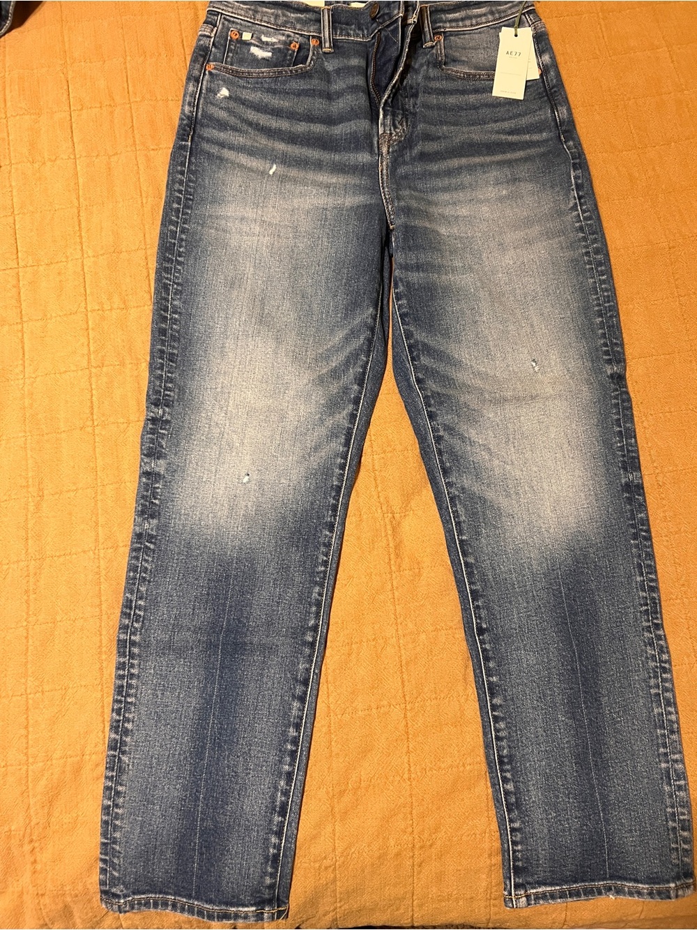 AE77 New York Mom Jeans size 8 regular